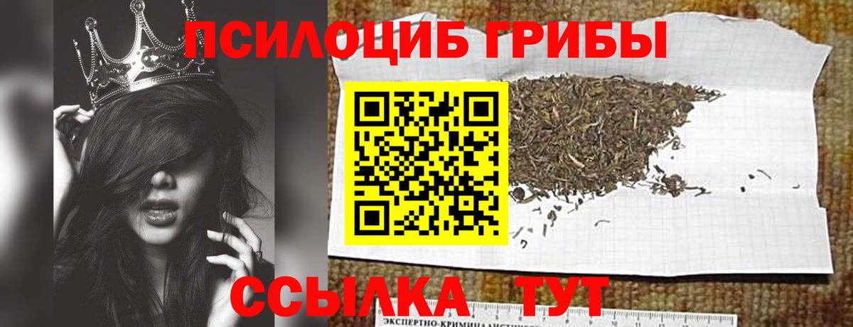 Усть-Кут  Псилоцибиновые грибы мухоморы  что такое наркотик  Вход с VPN 